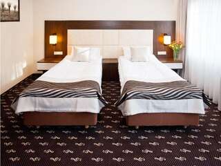 Отель Hotel Fryderyk Ныса Двухместный номер «Престиж» с 1 кроватью-4